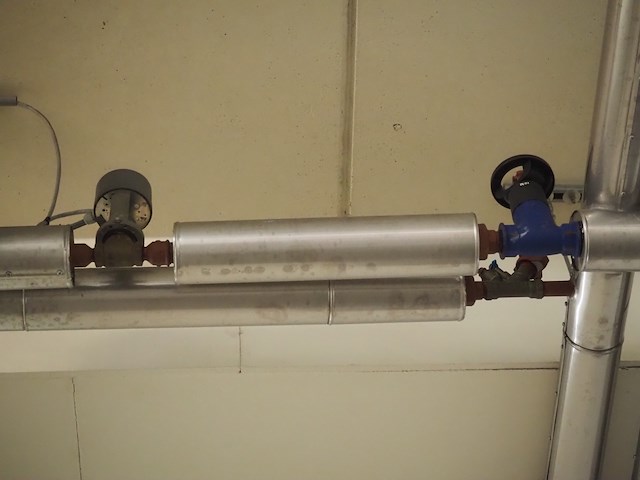 Gea - afbeelding 3 van  6