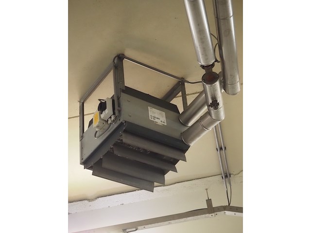 Gea - afbeelding 4 van  6