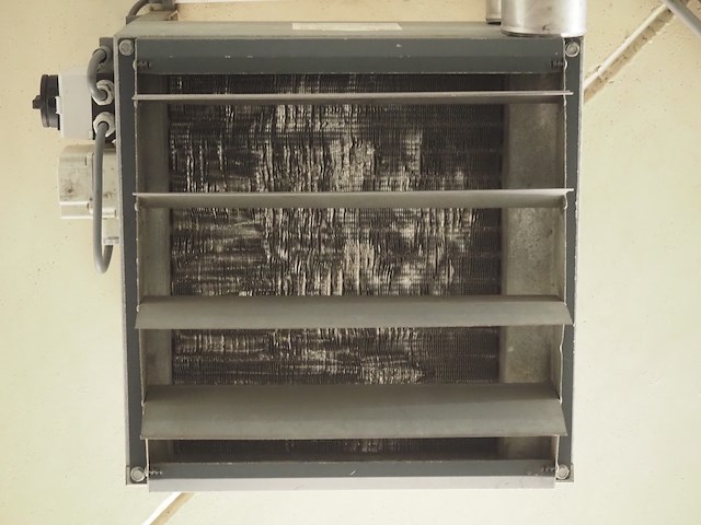 Gea - afbeelding 5 van  6