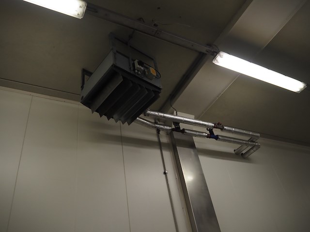 Gea - afbeelding 1 van  6