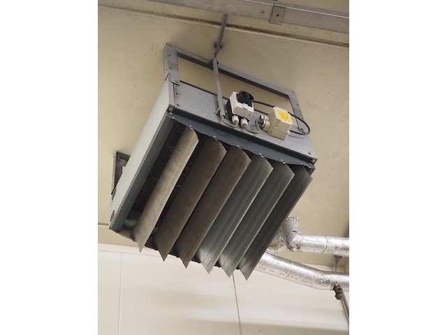 Gea - afbeelding 3 van  6