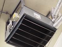 Gea - afbeelding 4 van  6