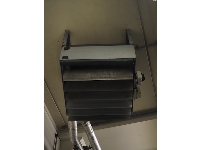 Gea - afbeelding 5 van  6