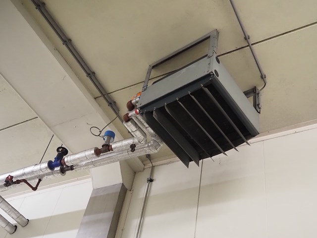 Gea - afbeelding 1 van  6