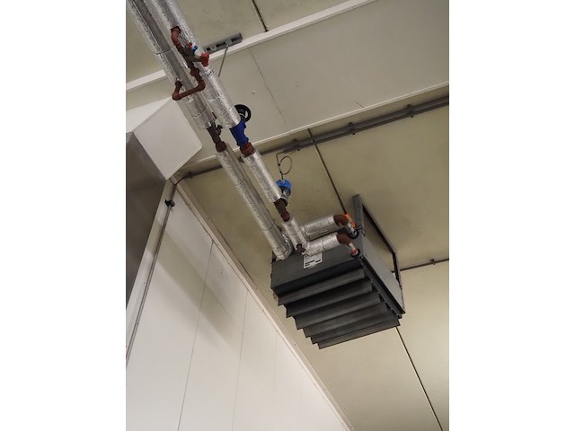 Gea - afbeelding 3 van  6