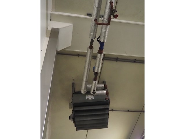 Gea - afbeelding 4 van  6