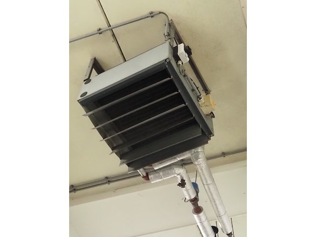 Gea - afbeelding 5 van  6