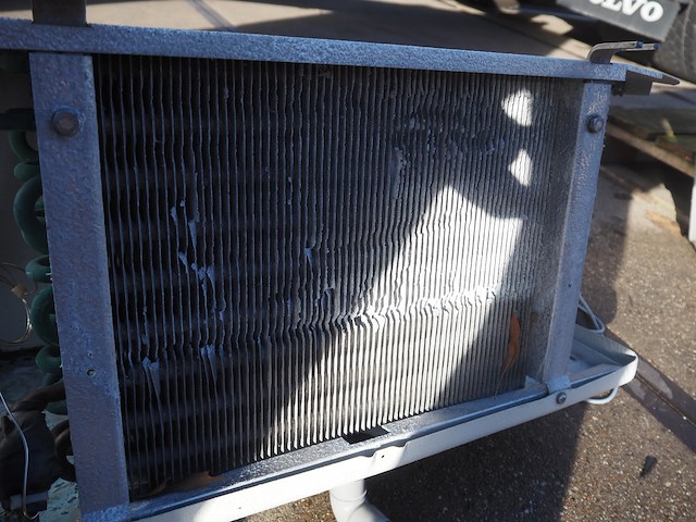 Gea - afbeelding 7 van  8