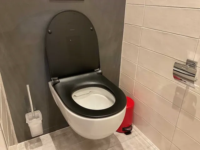 Geberit 300 basic toilet - afbeelding 1 van  6