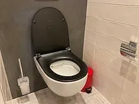 Geberit 300 basic toilet