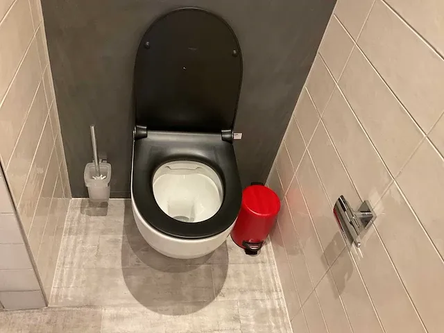Geberit 300 basic toilet - afbeelding 2 van  6