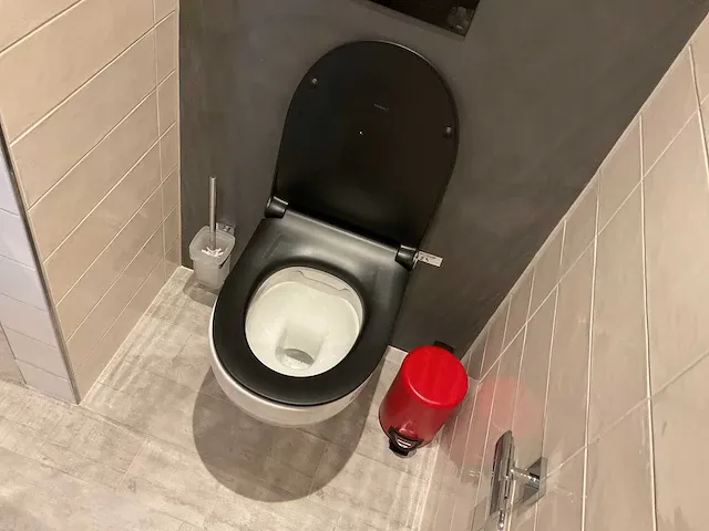 Geberit 300 basic toilet - afbeelding 3 van  6