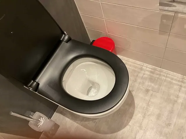 Geberit 300 basic toilet - afbeelding 4 van  6