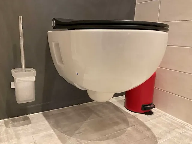 Geberit 300 basic toilet - afbeelding 5 van  6