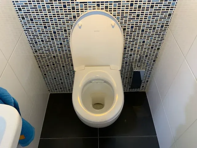 Geberit 300 toiletopstelling - afbeelding 4 van  8
