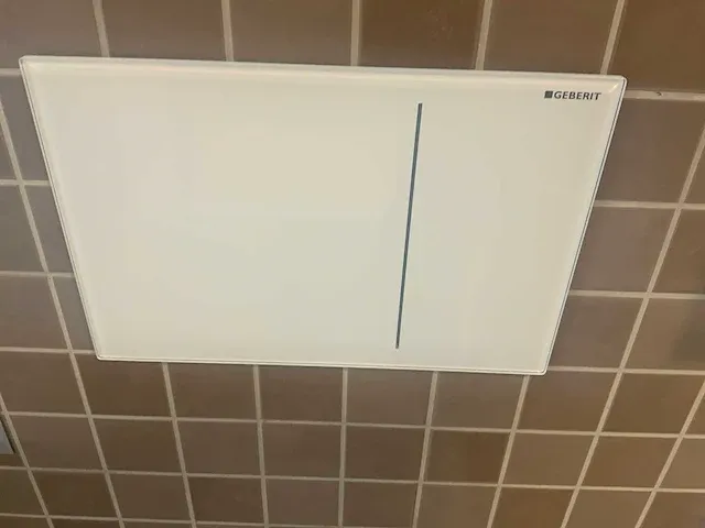 Geberit aquaclean sela toilet - afbeelding 9 van  11