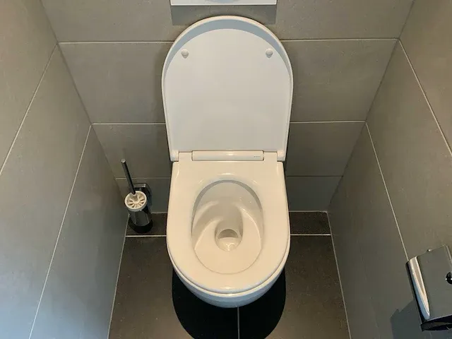 Geberit one toilet - afbeelding 3 van  7