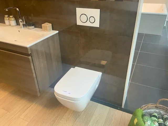 Geberit renova plan rimfree toilet - afbeelding 1 van  5
