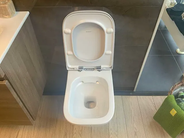 Geberit renova plan rimfree toilet - afbeelding 3 van  5