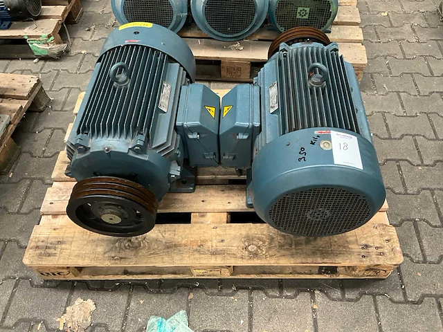 Gec inductie elektromotor (2x) - afbeelding 1 van  5