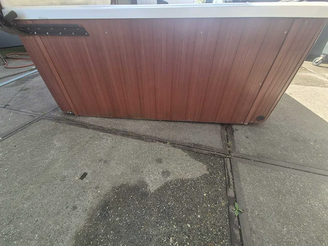 Gecko 6 persoons amerikaans jacuzzi en buitenspa - afbeelding 2 van  12