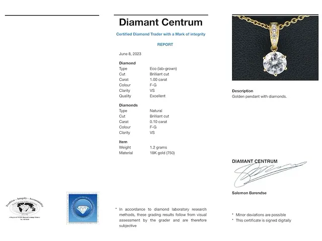 Geelgouden solitair hanger met een diamant 1.00 carat - afbeelding 3 van  8