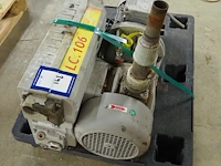 Gefi - afbeelding 3 van  3
