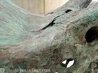 Gegoten replica bronzen beeld, triceratops - afbeelding 9 van  11