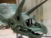 Gegoten replica bronzen beeld, triceratops - afbeelding 10 van  11