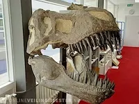 Gegoten replica, tyrannosaurus rex