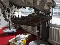 Gegoten replica, tyrannosaurus rex - afbeelding 4 van  10