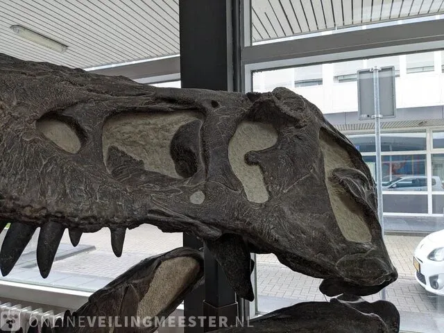 Gegoten replica, tyrannosaurus rex - afbeelding 8 van  10