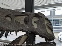 Gegoten replica, tyrannosaurus rex - afbeelding 8 van  10
