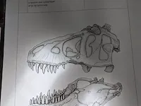 Gegoten replica, tyrannosaurus rex - afbeelding 10 van  10