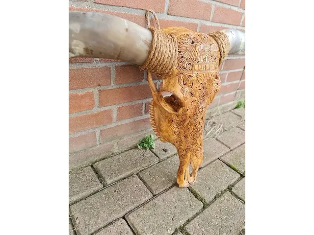 Gegraveerde longhorn schedel - afbeelding 3 van  4
