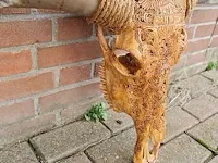 Gegraveerde longhorn schedel - afbeelding 3 van  4