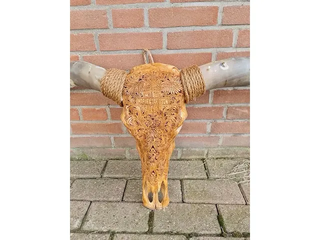 Gegraveerde longhorn schedel - afbeelding 4 van  4