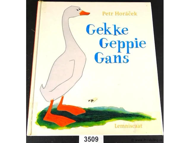 Gekke geppie gans - afbeelding 1 van  5