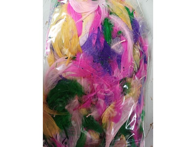 Gekleurde veertjes zak a 100 stuks 50 zakjes - afbeelding 4 van  9