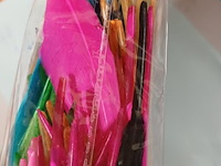 Gekleurde veertjes zak a 100 stuks 50 zakjes - afbeelding 5 van  9