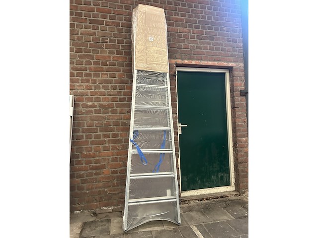 Geribbelde staande sportladder 2x10 treden zarges, saferstep b 5541310 - afbeelding 1 van  3