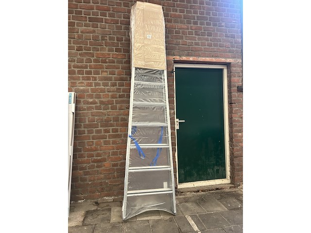 Geribbelde staande sportladder 2x10 treden zarges, saferstep b 5541310 - afbeelding 1 van  3