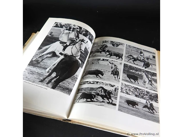 Geschichte der reitkunst - afbeelding 4 van  5