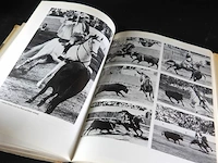 Geschichte der reitkunst - afbeelding 4 van  5