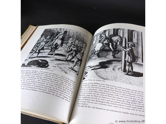 Geschichte der reitkunst - afbeelding 5 van  5