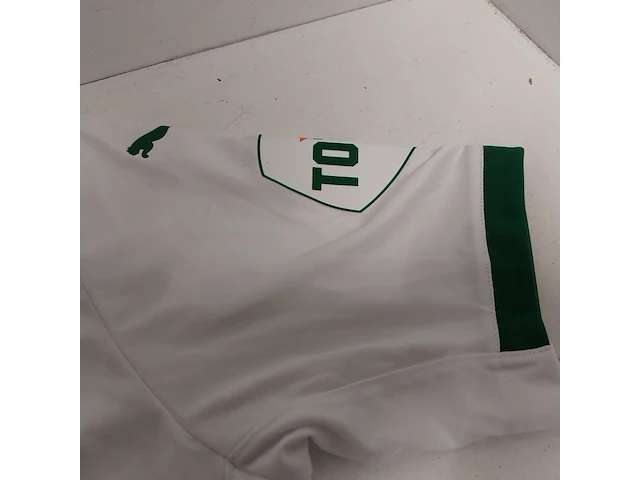 Gesigneerd fc groningen shirt " arjen robben ", puma - afbeelding 6 van  13