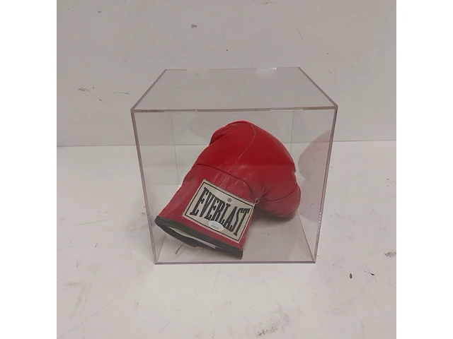 Gesigneerde bokshandschoen " mike tyson ", everlast - afbeelding 1 van  8