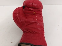Gesigneerde bokshandschoen " mike tyson ", everlast - afbeelding 6 van  8