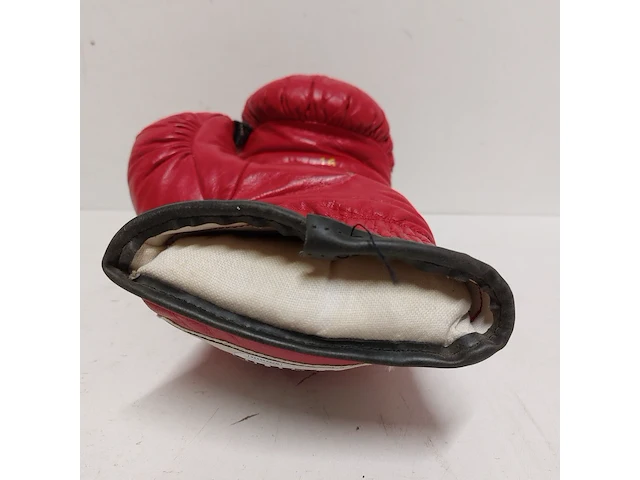 Gesigneerde bokshandschoen " mike tyson ", everlast - afbeelding 7 van  8