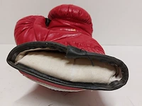 Gesigneerde bokshandschoen " mike tyson ", everlast - afbeelding 7 van  8